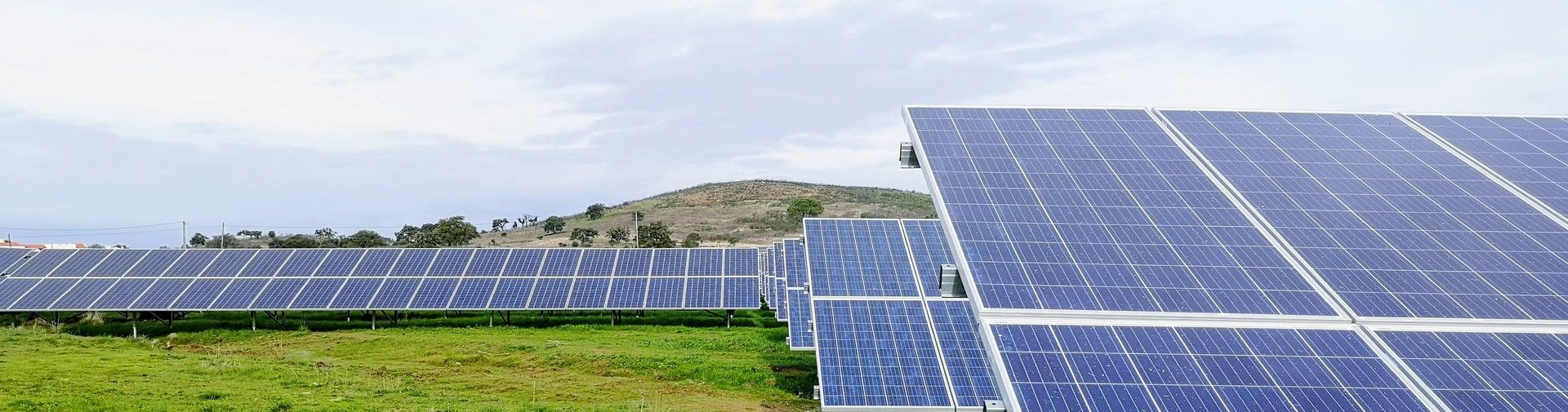 Rows of solar panels in a green field under a blue sky