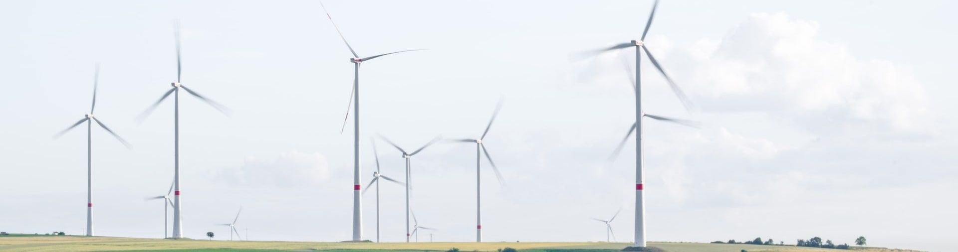 White wind turbines in a green field under a blue sky